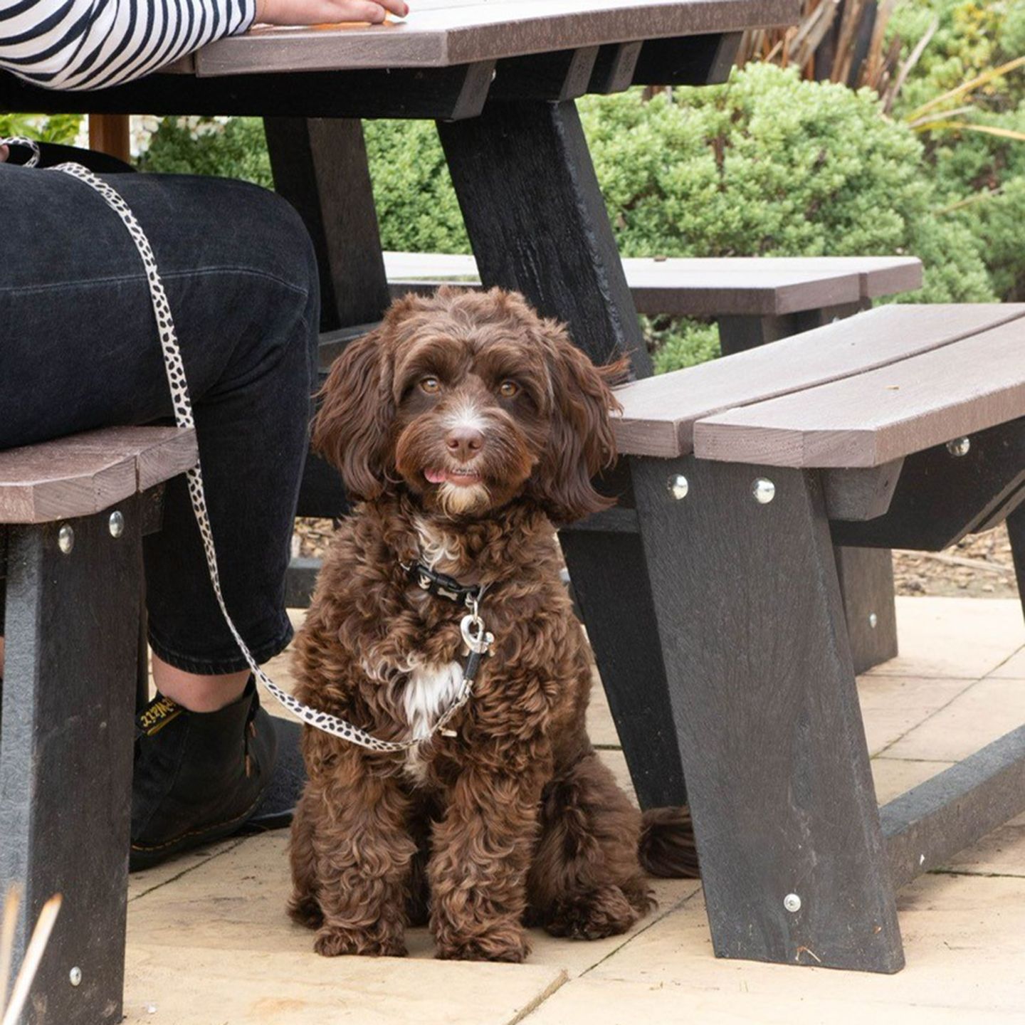 Your local dog friendly pub in Bognor Regis